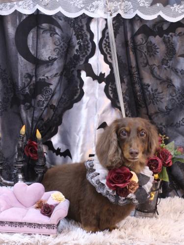 20231024ジョナくん